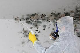 Reliable Fairland, MD Mold Remediation Solutions